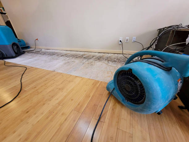 Professional Water Removal technician working in Schuylkill Haven, PA